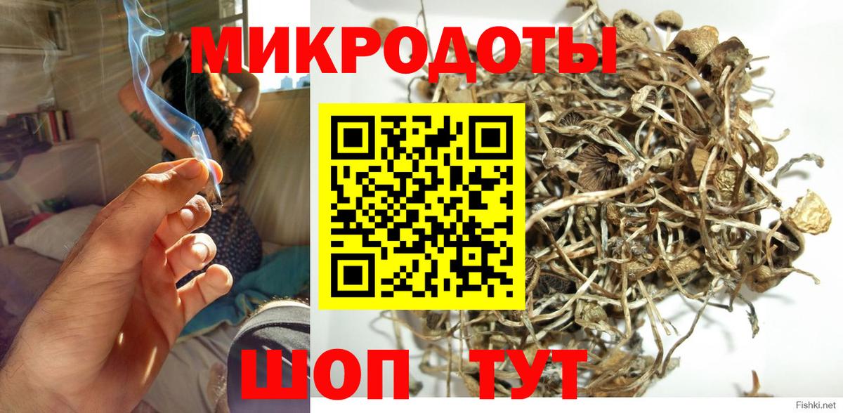 Галлюциногенные грибы Psilocybine cubensis Муром